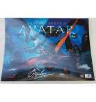 AVATAR Limited Edition 3D Lenticular Pinball Translite #830-52B1-00 (7647) signed by STEPHEN LANG