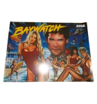 SEGA BAYWATCH Pinball MachineTranslite Backbox Artwork (2497) 