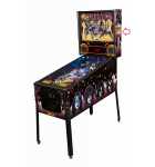STERN KISS PREMIUM Pinball Machine Game Cabinet HEAD Decal #5543  