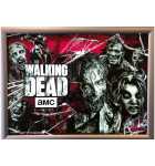 STERN THE WALKING DEAD Pinball Machine Game LED BACK-LIT TRANSLITE FRAME  