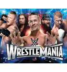 STERN Wrestlemania Pro Pinball Machine Translite Backbox Artwork #830-52G1-00 (518) 