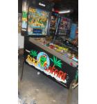 SURF 'N SAFARI Pinball Game Machine For Sale by Gottlieb