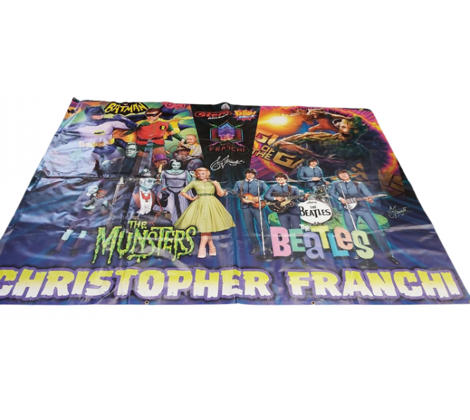 STERN Pinball COLLECTIBLE VINYL DISPLAY of CHRISTOPHER FRANCHI designed PINBALL GAME ARTWORK #7516 