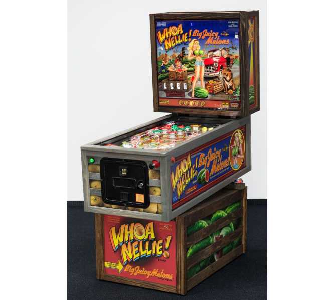 STERN WHOA NELLIE! BIG JUICY MELONS Pinball Machine for sale