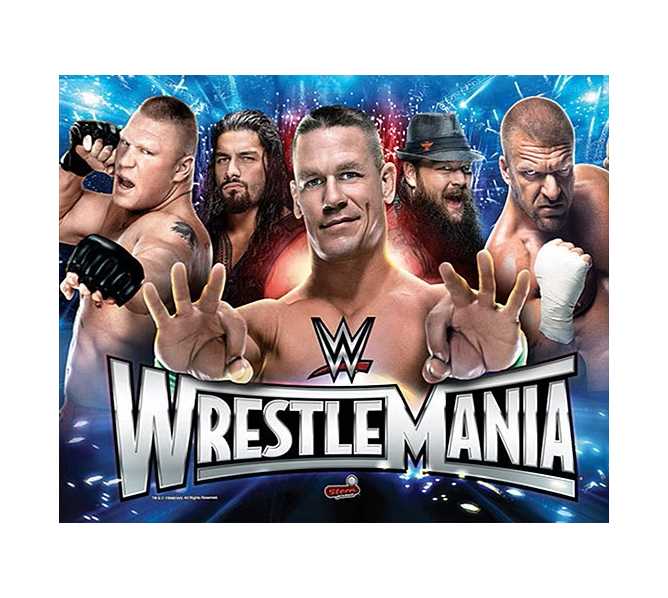 STERN Wrestlemania Pro Pinball Machine Translite Backbox Artwork #830-52G1-00 (518)