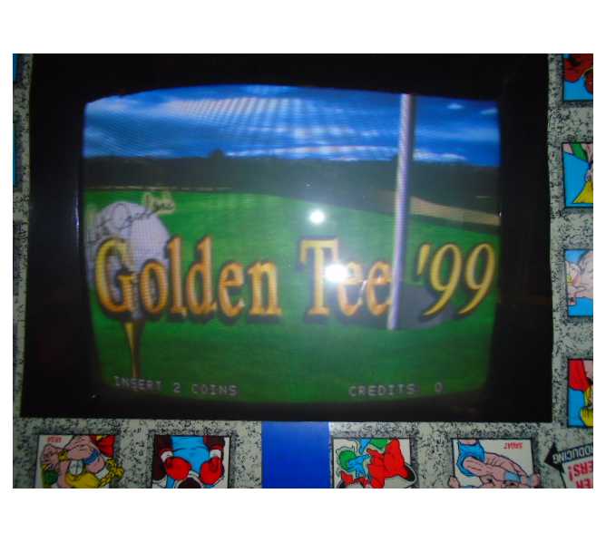 Golden Tee Golf '99 Arcade Machine Game PCB Printed Circuit Board #2537 for sale by IT 