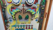 PLAYMATIC FLIPPER Pinball Machine Playfield (0077) 