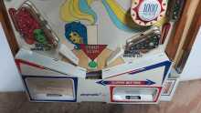 PLAYMATIC FLIPPER Pinball Machine Playfield (0077) 