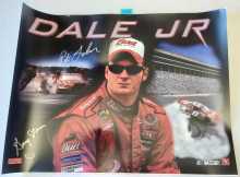 STERN DALE JR. Pinball TRANSLITE Artwork Graphic #5933 