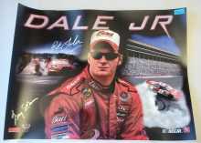  STERN DALE JR. Pinball TRANSLITE Artwork Graphic #5934  