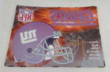 STERN NFL GIANTS Pinball Machine Translite Artwork #9826