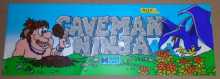 DATA EAST CAVEMAN NINJA Arcade Machine Game Overhead Marquee FLEXIBLE Header #4137 for sale 